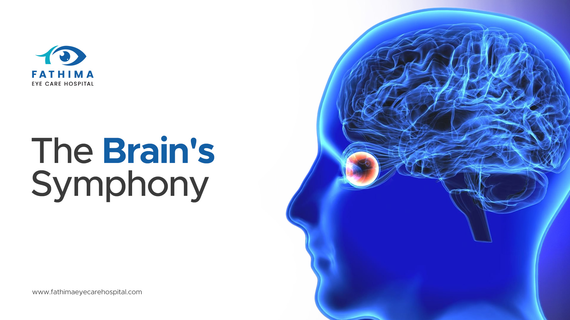 The Brain's Symphony: How New Light Inputs from Premium Lenses Are Processed
